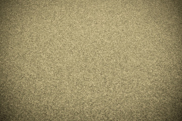 The background of overgrown with duckweed water, brown, beige, toning, vignetting