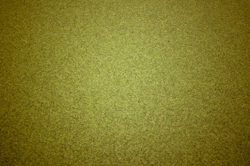 The background of overgrown with duckweed water, brown, yellow, warm toning, vignetting
