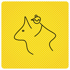 Horseback riding icon. Jockey rider sign.