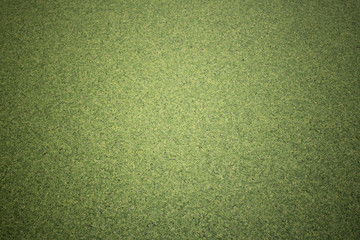 The background of overgrown with duckweed water, green warm, toning, vignetting
