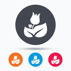 Rose flower icon. Florist plant with leaf sign.