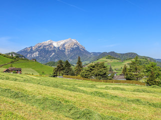 Fototapeta na wymiar Springtime view in the Swiss canton of Nidwalden with Mt. Pilatus in the background