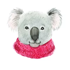 Deurstickers Koala Koala in a pink scarf
