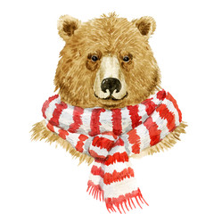 Brown bear wearing a scarf