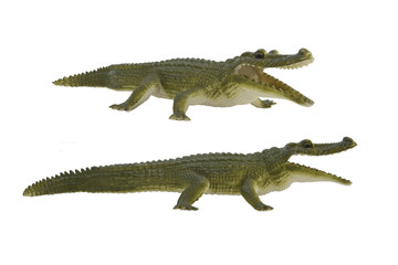 Crocodile toy photo. Isolated green crocodile profile and angle view toy photo.