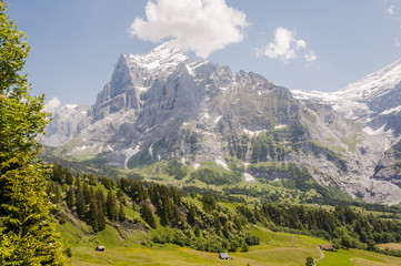 Obraz premium Grindelwald, Dorf, Bergdorf, Grosse Scheidegg, Wetterhorn, Alpen, Grindelwaldgletscher, Wanderweg, Wanderferien, Berner Oberland, Sommer, Schweiz