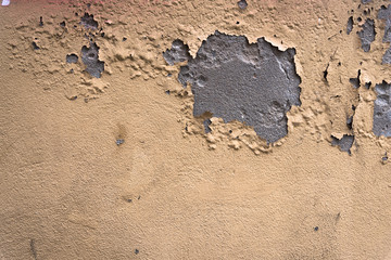 rustic wall