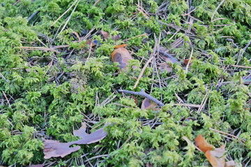 Nature Park