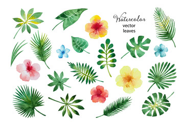 Set of watercolor leaves and flowers.