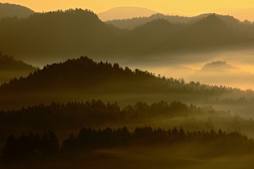 Cold misty foggy morning with sunrise in a fall valley of Bohemian Switzerland park. Hills with fog, landscape of Czech Republic, beautiful national park Ceske Svycarsko. Foggy landscape with sunrise.