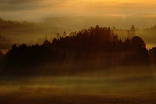 Morning with sun. Cold misty foggy morning in a fall valley of Bohemian Switzerland park. Hills with fog, landscape of Czech Republic, sun beam in the landscape Ceske Svycarsko. Forest with sun rays.