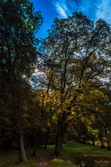 Fototapeta premium Münsterpark in bad doberan