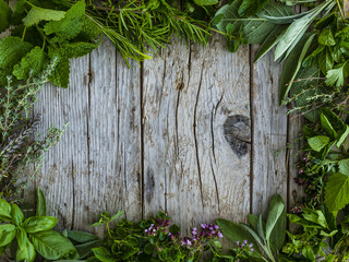 Fresh and aromatic herbs in frame on old wooden table. Space for text.