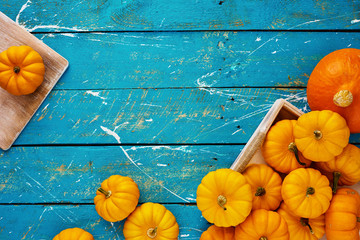 Pumpkin harvest