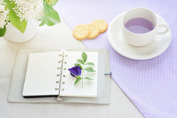 A cup of herbal butterfly-pea flower tea (Asian pigeonwings) good for hair care, memory enhancer anti-stress antiinflammatory and antioxidant