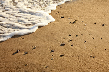 sandy beach