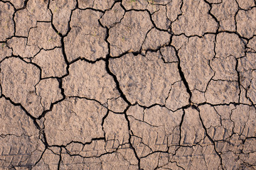 Dry cracked brown  earth texture
