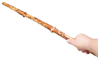 arm with wooden staff from tree trunk isolated