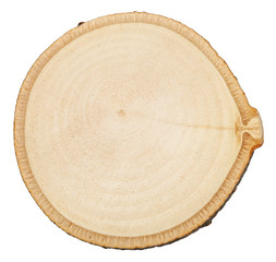 Obraz premium cross section of birch tree trunk isolated