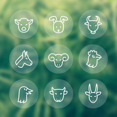 Farm animals line icons, ram, hen, goose, pig, rabbit, bull, horse, cow, goat