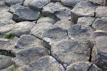 Giants Causeway; County Antrim; Northern Ireland