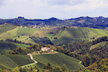 Südsteirische Weinberge