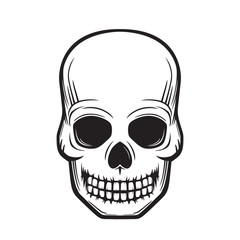 skull, front view, black on white, vector illustration