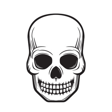 skull, front view, black on white, vector illustration