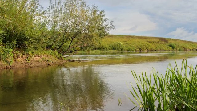 Coast of the river