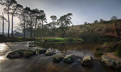 West Dart Stepping Stones