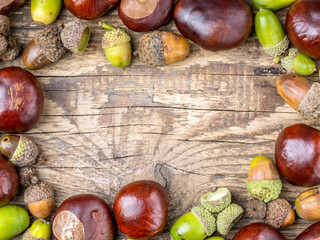 Chestnut and acorn framework