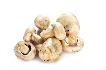 close up shot of mushrooms