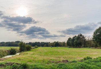 Im Naturschutzgebiet Niedersandhausen