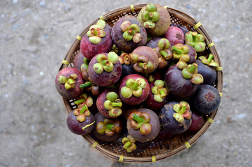Mangosteen