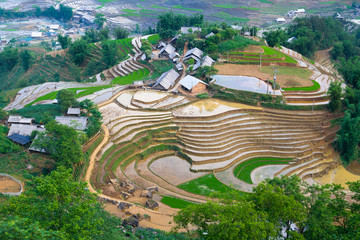 Beautiful terraced rice field in Lao cai province in Vietnam