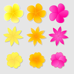 Flower stickers vector