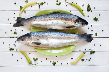 uncooked salmon, fresh fish on green plate. white background