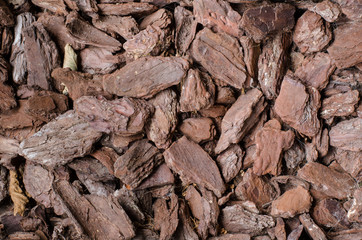 background of small chopped  tree bark pieces