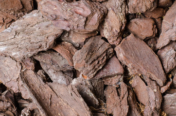 close up view of  of small chopped tree bark pieces