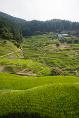 泉谷の棚田（愛媛県内子町泉谷）