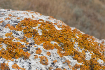 Crimea. Nature of the Karalarsky natural landscape park.