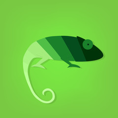 flat paper creative chameleon icon