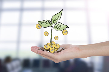 A pile of stack coin and growing sapling tree on hand with finance concept investment