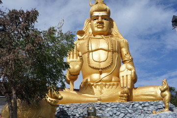 Fototapeta premium SONY DSC