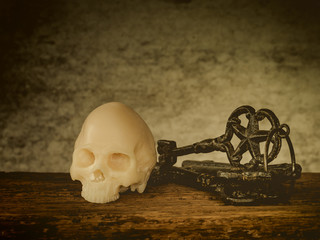 Art skull