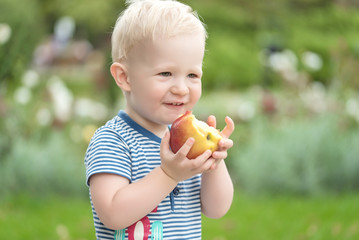 Adorable baby eat apple in the park