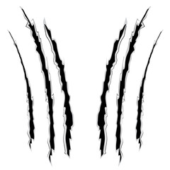 Grunge Cat Scratches