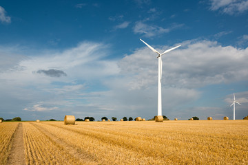 Windmühlen auf herbstlichem Getreidefeld