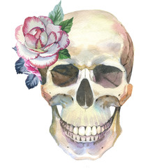 Watercolor tattoo concept with skull element isolated. Tattoo sketch art concept with wildflowers on it. Could be used for tattoo, sticker, background, texture, pattern, frame or border.