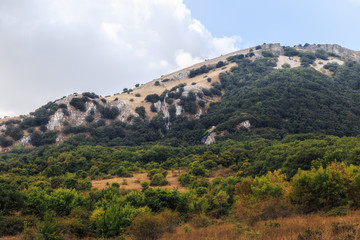 Fototapeta na wymiar Ficuzza Hills